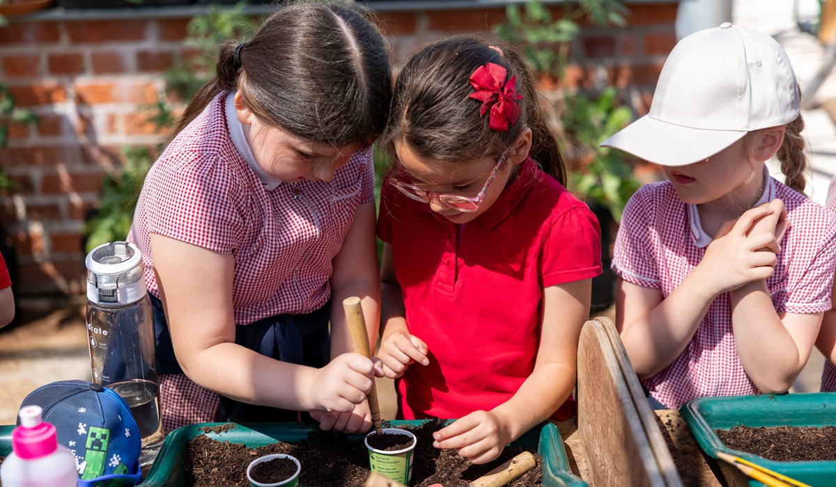 St Johns CofE Primary School trip to RHS Bridgewater